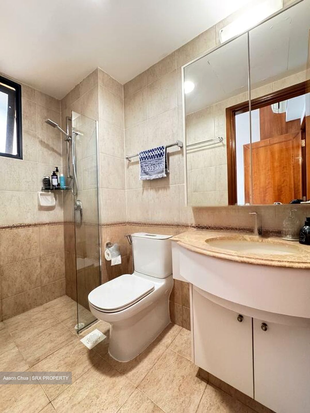 Tanglin View (D3), Condominium #482776401